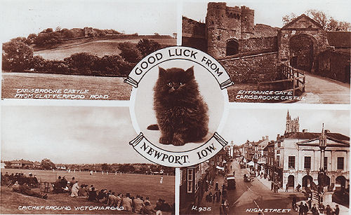 multiview card of Newport Isle of Wight 